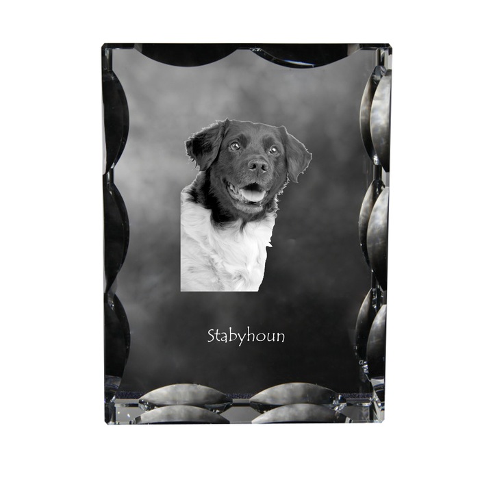 Statueta din cristal cu imagine de caine, Art-Dog, 12x9x5cm, personalizabila