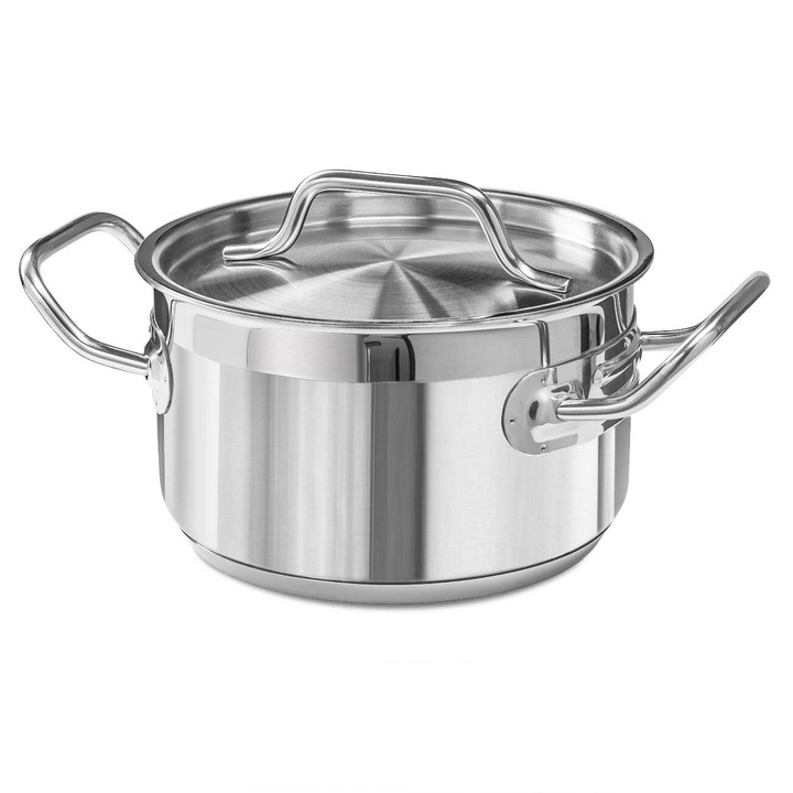 Тенджера от неръждаема стомана, Forgast, с капак, вместимост 1, 9 л