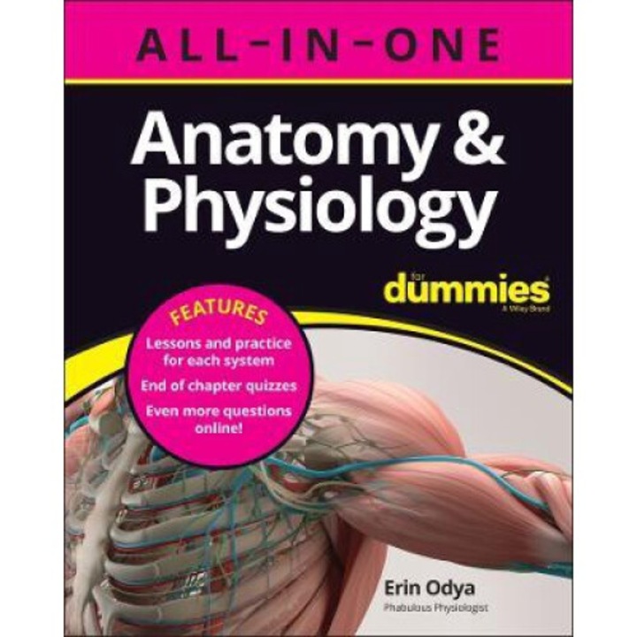 Anatomy & Physiology All-in-one For Dummies (+ Chapter Quizzes Online) - Erin Odya
