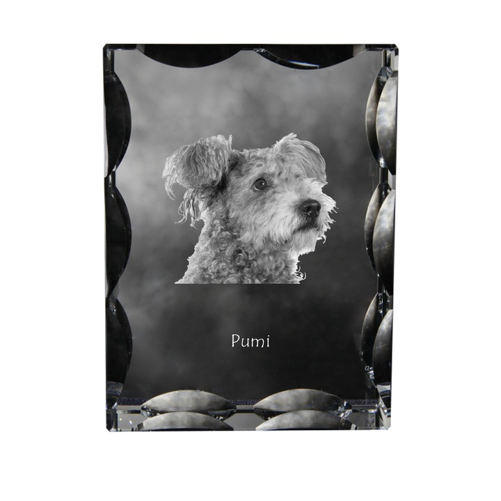 Cadou personalizat, Art-Dog, cristale cu imagine de caine, 12x9x5cm
