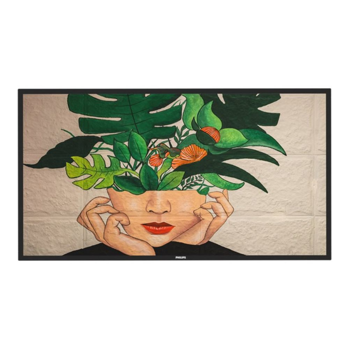 Телевизор Philips 55BDL4511D/00