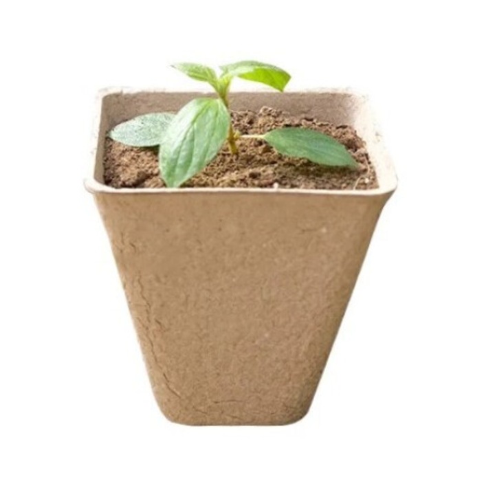 Luka tőzegcserepek, 20 db-os készlet, 6x6cm, biológiailag lebomló