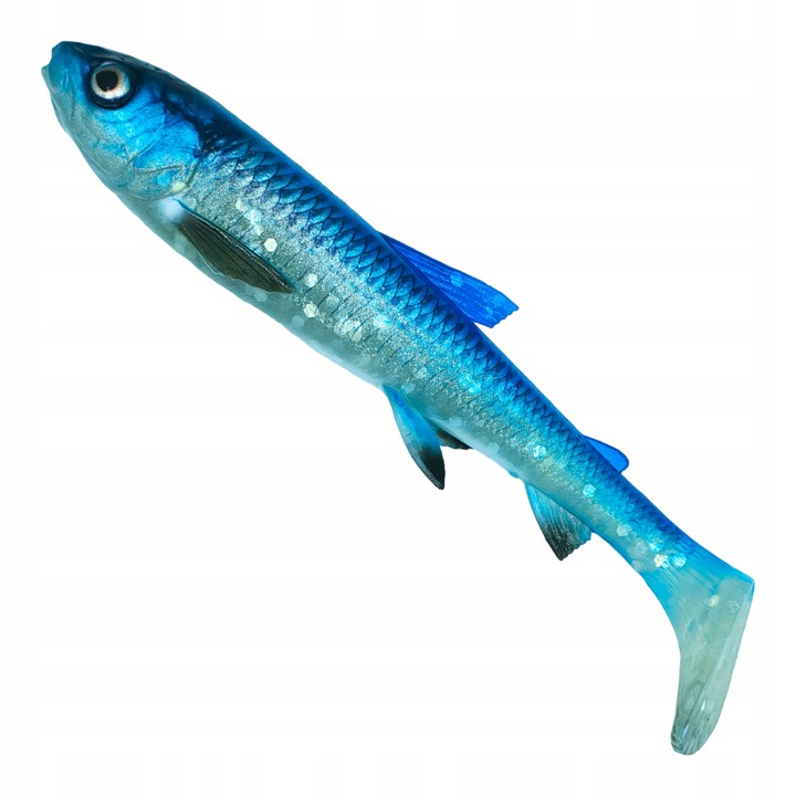 3D Whitefish Shad Savage Gear 20cm 62g, Blue Silver szín, süllőhöz