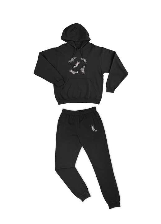 Trening pentru barbati personalizat racoons space