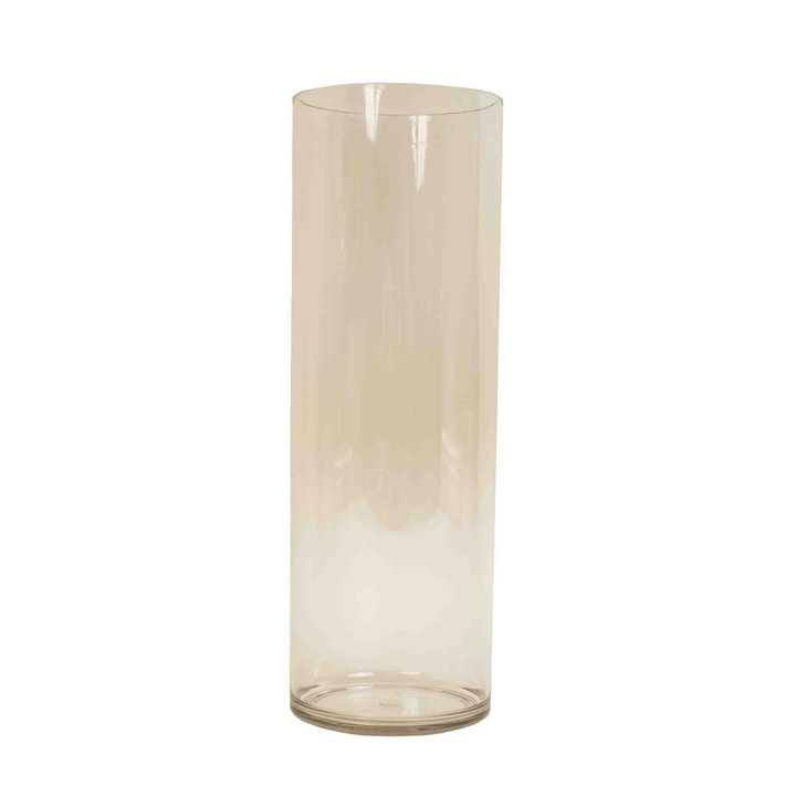 Vaza din plastic, model transparent, 12x35 cm, B.S.P. / SL762