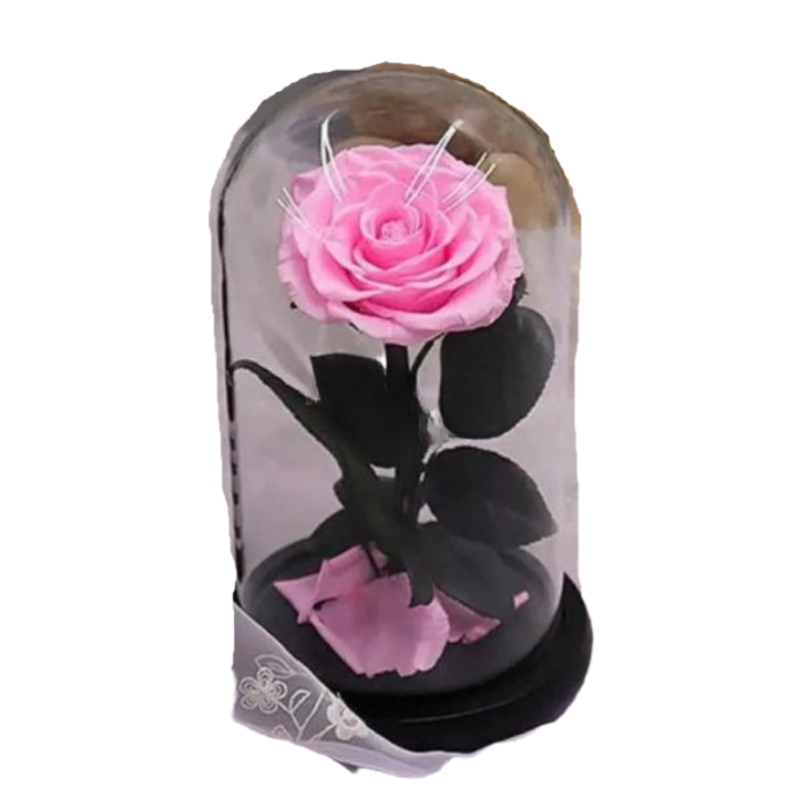 Trandafir criogenat, in cupola, (Ø=8cm), 10x20cm, roz bridal bella, Kdeco