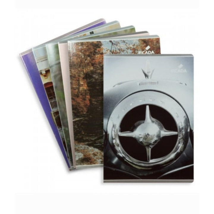 Set 10 caiete Dictando (Romana) A5, 100 file, Ecada