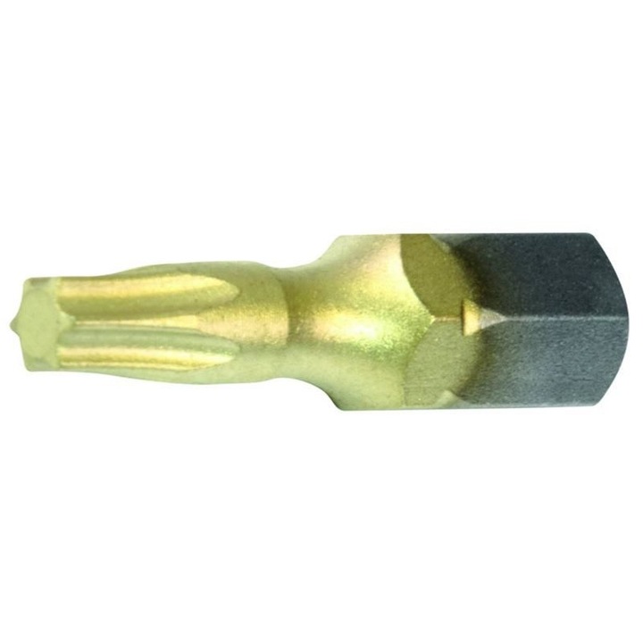 Set biti cu strat de particule de diamant "STAR BITS" 1/4" L25 mm TX40, PROJAHN 10 buc/set