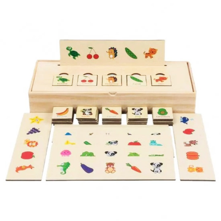 Joc pentru recunoastere, clasificare si dezvoltarea cognitiva, E-Toy®