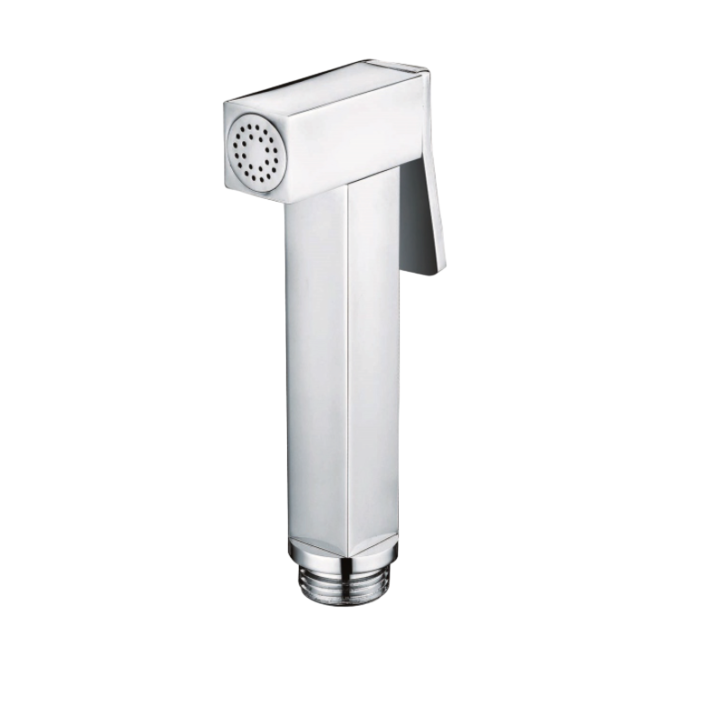 Cap de dus detasabil, Inter Ceramic, Crom