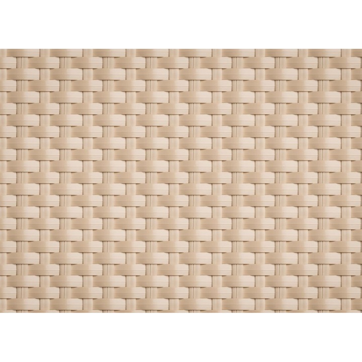 Covoras RattanArt, tehnorattan cu plasa, panou de intimitate, 1200 g/m2 100x100cm RD18 Crem