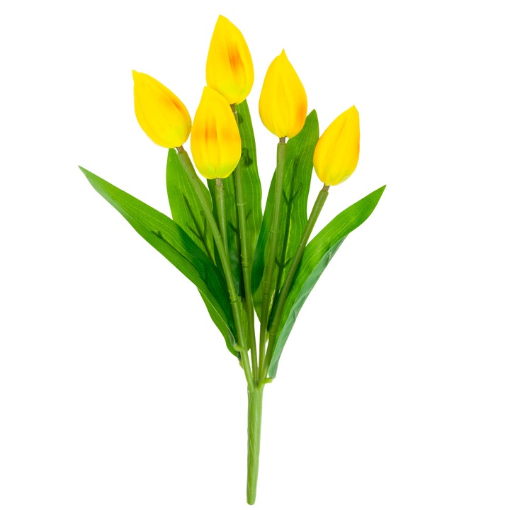 Buchet 5 tulipani pianka, Galben, 30 cm