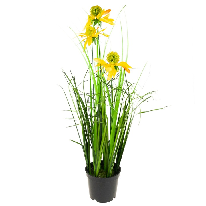 Iarba decorativa de rudbeckia, 50 cm, Verde/Galben