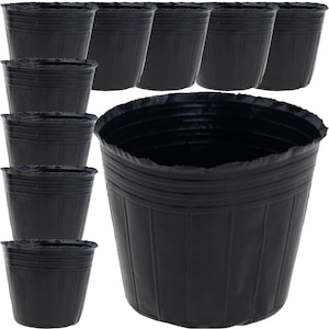 Ghivece si suporturi