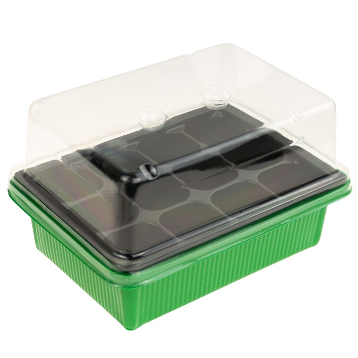 Mini sera, 12 compartimente, 19x14.5x11.5cm, transparent/verde