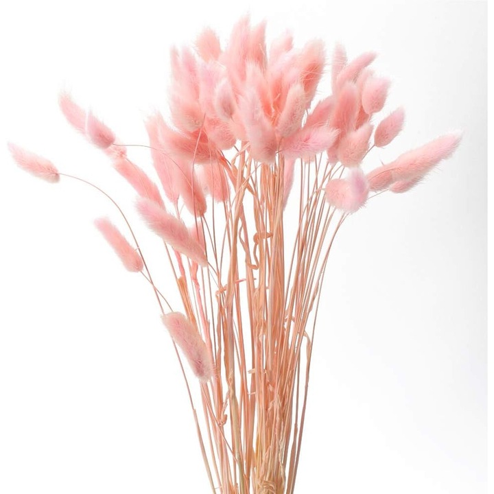 Természetes szárított virág készlet, Cozevdnt, 60 szár, nyúlfű, rózsaszín, 45 cm