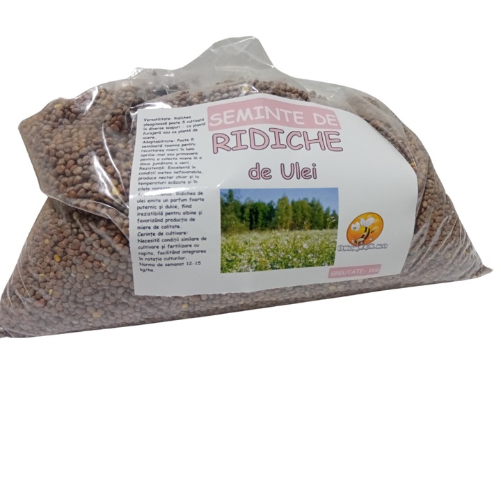 Seminte de Ridiche de ulei | Seminte de plata furajera Raphanus sativus - 1kg