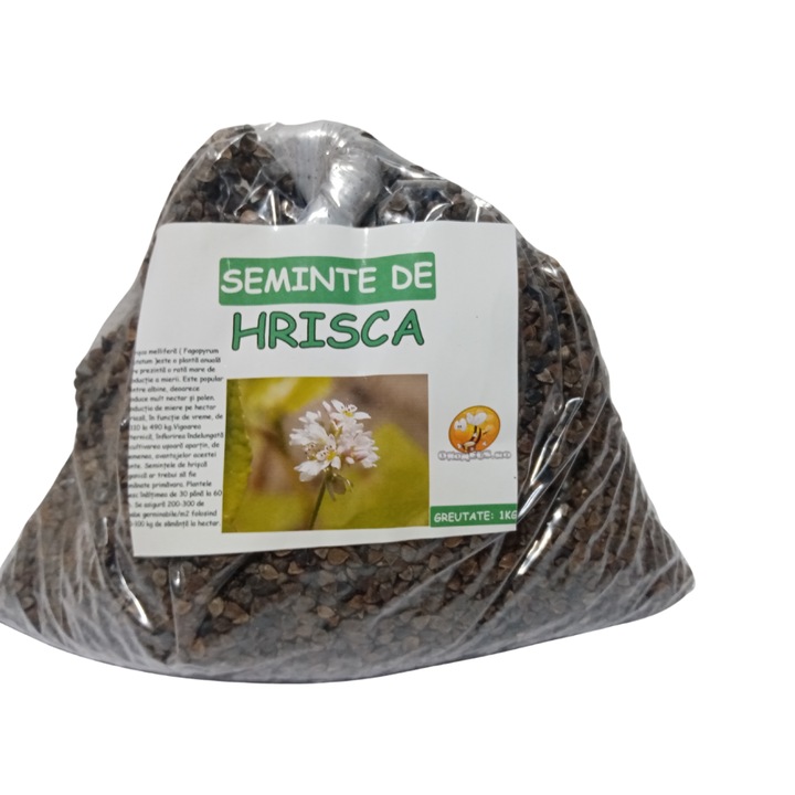 Hajdina mag, zacskó 1 kg