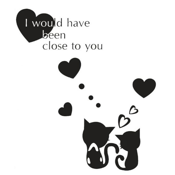 Fali matrica, Mmgoqqt, szerelmes macska, vízálló, 60x90cm