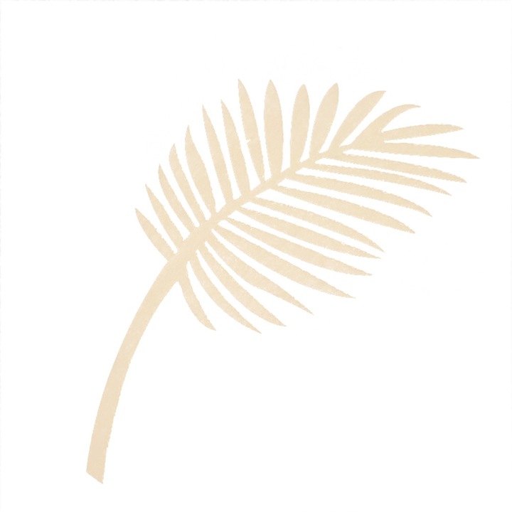 Jormftte falmatrica, olajág, skandináv design, változatos méretek, természetes szín