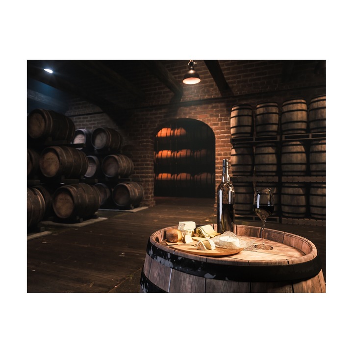 Tablou canvas Degustare de vin 9779, panza 360g pe sasiu lemn 40cm x 50cm, Living, Dormitor