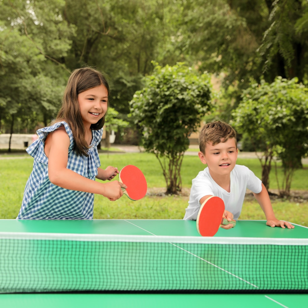 Masa de tenis ZOLTA, set complet cu plasa, 2 palete, 3 mingi, 274