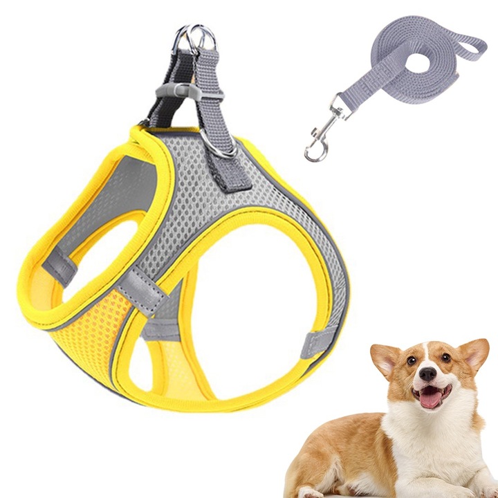 Hám kis és közepes kutyák számára, QttvbTna, húzásgátló, fényvisszaverő, M