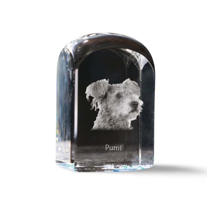 Kristály papírnehezék, Art-Dog, fényképpel személyre szabott, 10x6x6cm, átlátszó