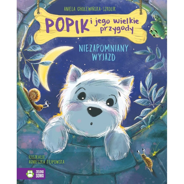 Niezapomniany wyjazd, Aniela Cholewinska-Szkolik, 2024, carte pentru copii, 32 pagini, coperta tare