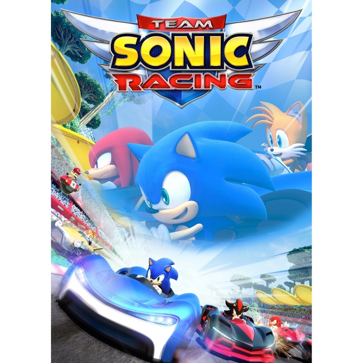 Licenta Joc Team Sonic Racing Pc Key Steam (Cod Activare Instant)