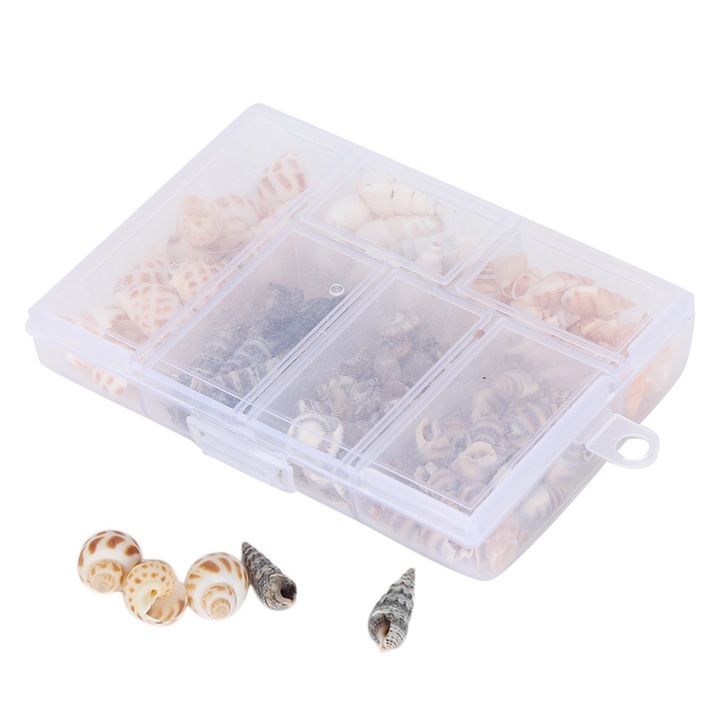 Scoici naturale melci de mare bijuterii artizanat Conch acasa decoratiuni nunta ornament