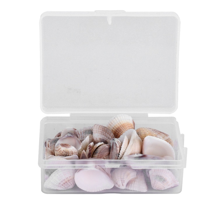 Комплект декорации с морски раковини „Направи си сам“, изработка на бижута от естествена черупка, плажно парти, сватба, Enforose