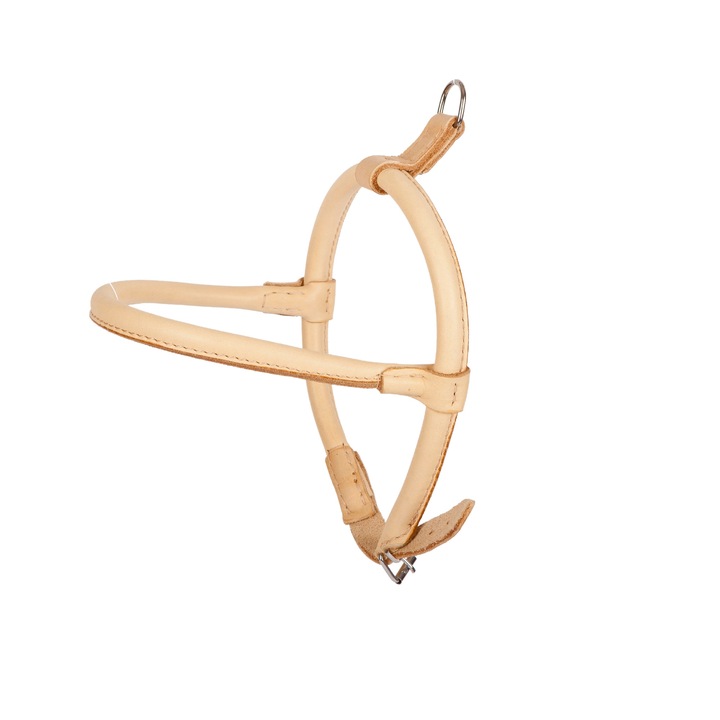 Zgarda Dingo pentru caini cu blana lunga, din piele naturala, rezistenta la umezeala, 30x45cm