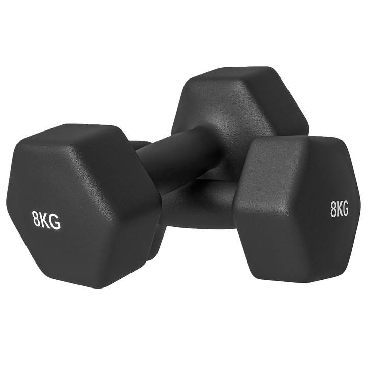 Set 2 gantere, SPORTNOW, 2x8kg, 24x11x11 cm, Negru, metal/plastic