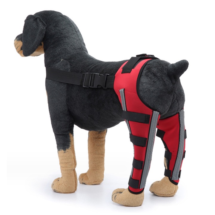 Suport ortopedic pentru genunchi caini, AMRINUGL, ajustabil, XS, Multicolor