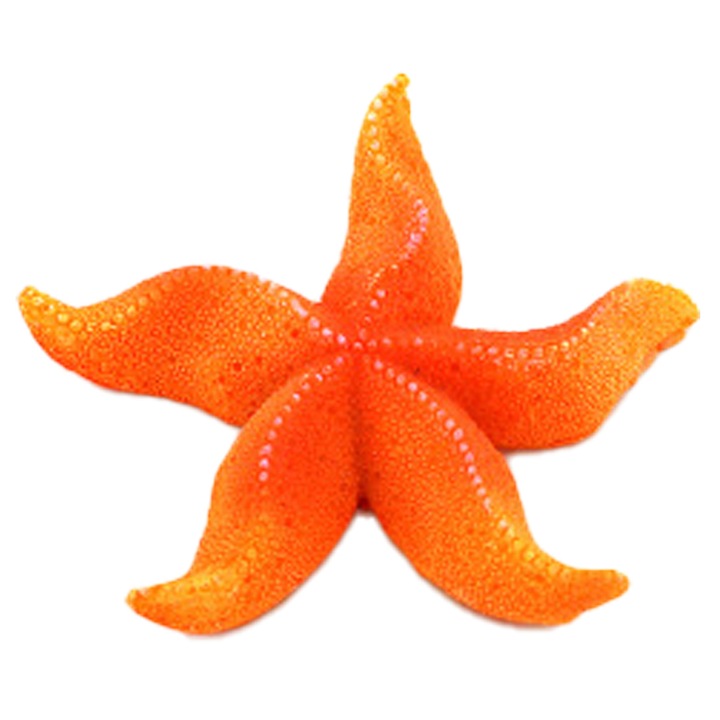 Coral artificial HERUSI rasina 10x10x5cm decor acvariu