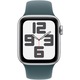 Curea pentru Apple Watch 40mm, Sport Band, Lake Green - S/M