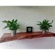 Raft perete WestTree, lemn masiv de stejar, margine naturala, ulei tratat, 60x10x2,5cm