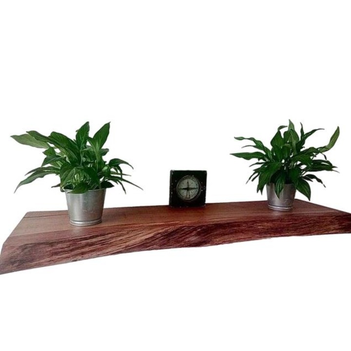 Raft perete WestTree, lemn masiv de stejar, margine naturala, ulei tratat, 60x10x2,5cm