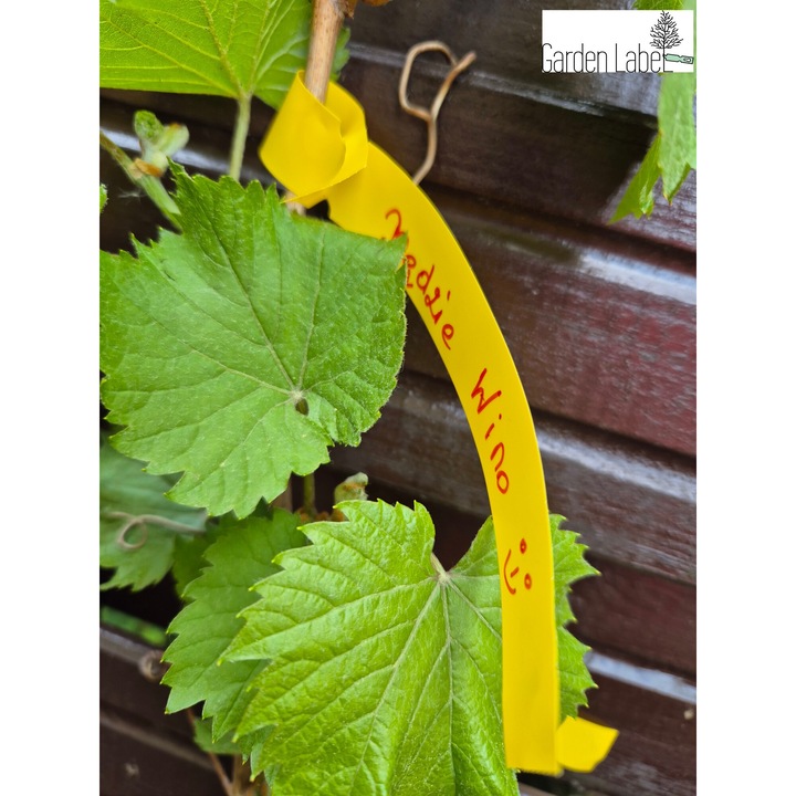 Set 10 etichete autoadezive Garden Label, galben, 400x20mm