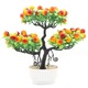 Pom de fructe artificial in ghiveci, longziming, decor pentru acasa sau birou, culori elegante, dimensiuni variate.