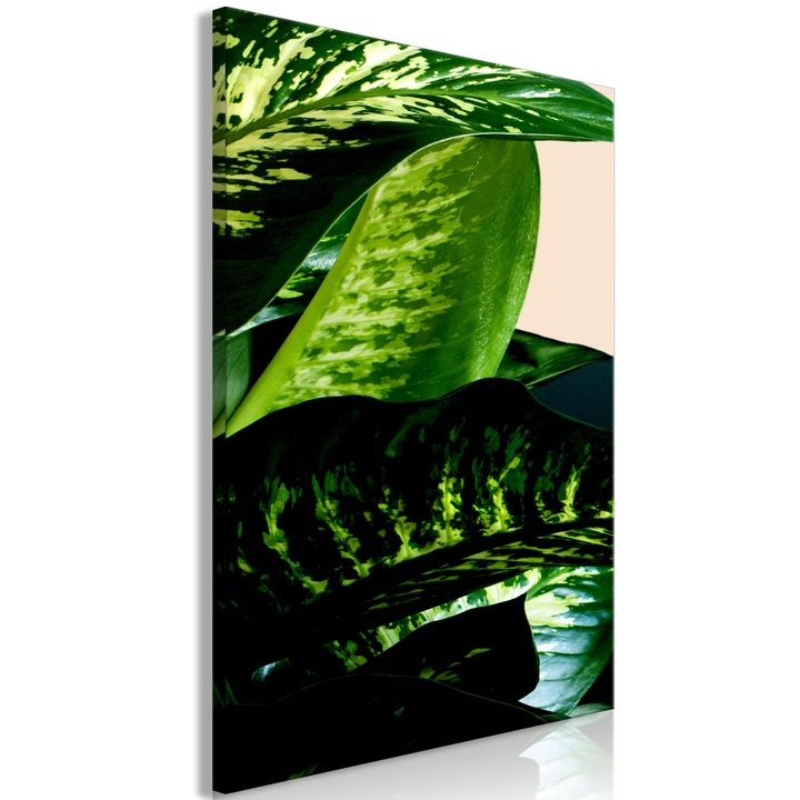Картина Artgeist, Италианско платно - Дифенбахия, 1 част, Вертикална - 60 x 90 см