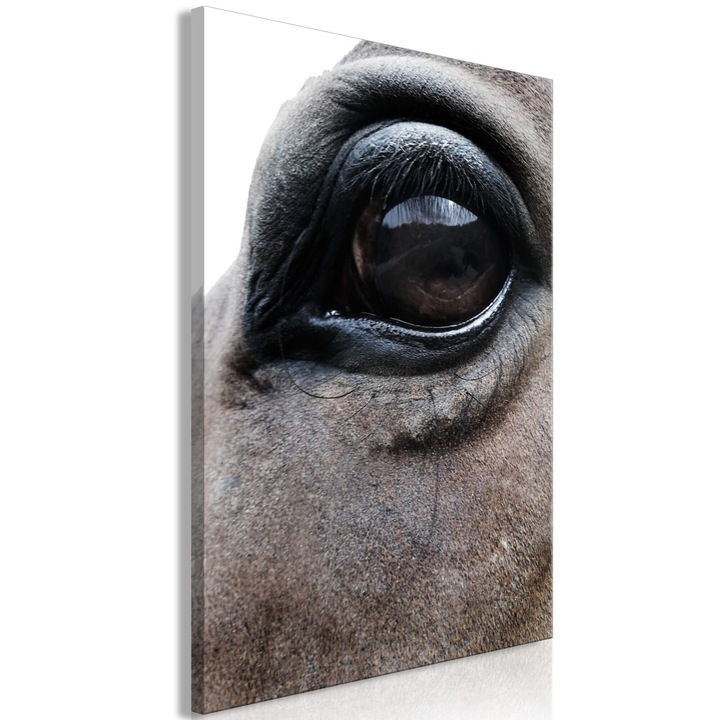 Artgeist vászonkép, prémium nyomtatás – Honest Eyes, 1 darab, függőleges – 80 x 120 cm