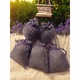 Lavanda Set de 5 Saculeti Odorizanti Organici cu Lavanda Naturala - Aromaterapie pentru Casa Birou si Masina 5x17 grame