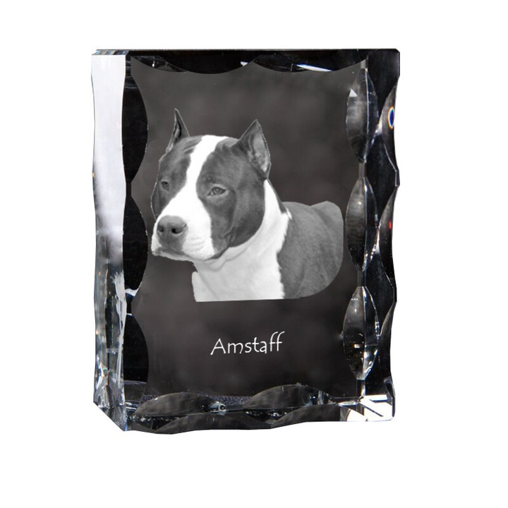 Art-Dog díszkristály kutya képpel, 12x9x5cm, személyre szabható