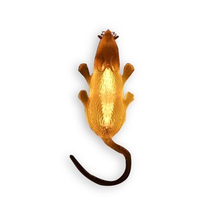 Accesorii pentru petrecere