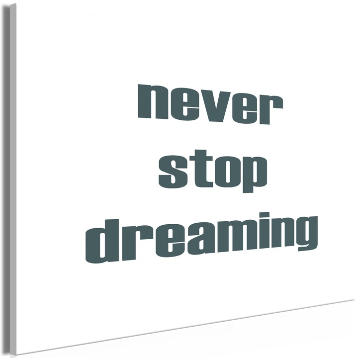 Картина Artgeist, Италианско платно - Never Stop Dreaming, 1 част, Широка - 90 x 60 см