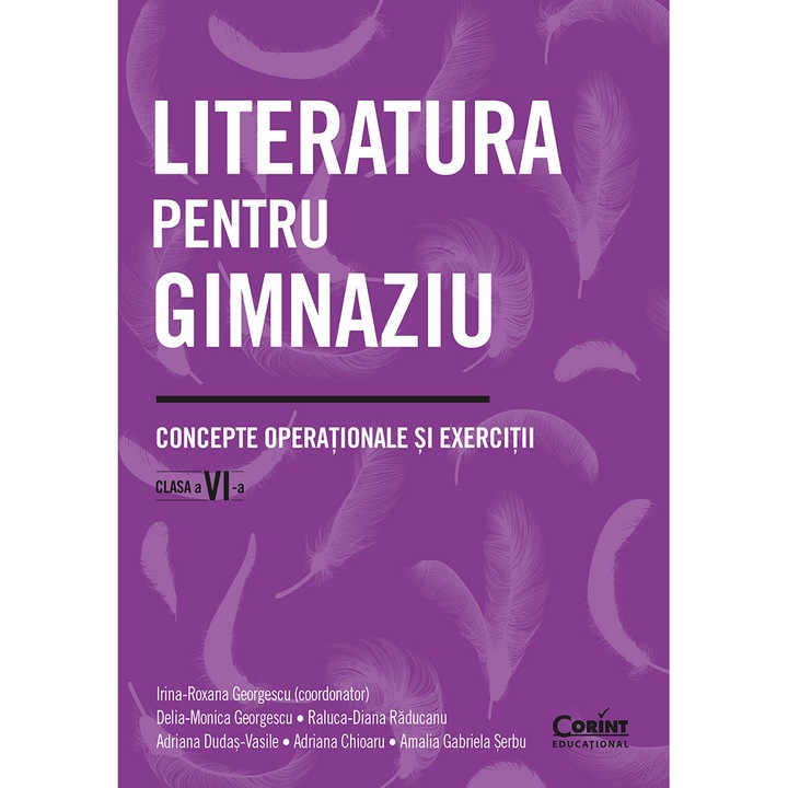 Literatura pentru gimnaziu. Concepte operationale si exercitii. Clasa a VI-a, Irina-Roxana Georgescu