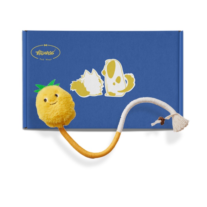 Jucarie interactiva pentru pisici Tail Wags, perfecta pentru divertismentul animalului tau de companie, durabila si sigura, aspect dragut de ananas, material durabil din sisal si bumbac, non-toxic si ecologic