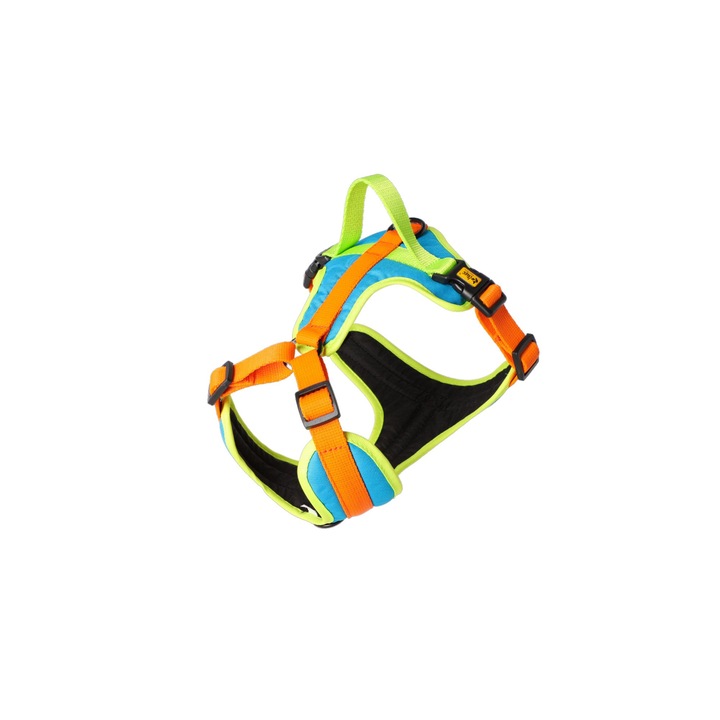 Ham pentru caini, Active Sydney, clasici fara presiune, portocaliu, S 5x60cm (43-53cm)